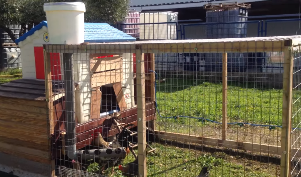 Ο επόμενος στόχος της ΕΕ – Απαγόρευση εκτροφής ζώων σε κλουβιά και κοτέτσια ατομικά