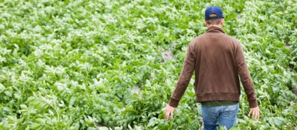 Ξεκίνησαν από σήμερα τα προγράμματα κατάρτισης νέων αγροτών