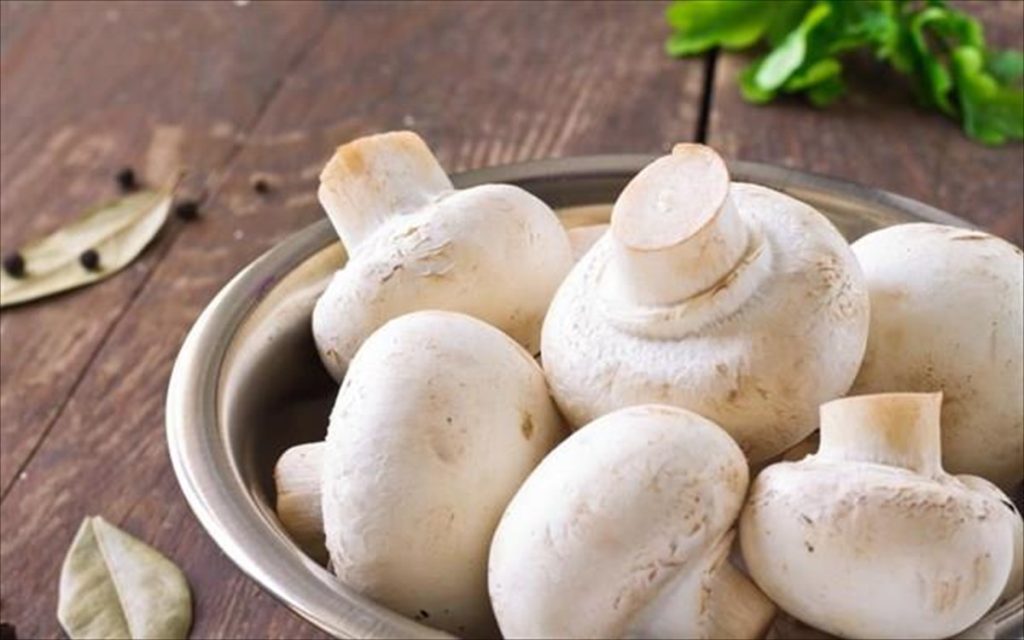 Έρευνα: Tα μανιτάρια μειώνουν τον κίνδυνο εμφάνισης καρκίνου