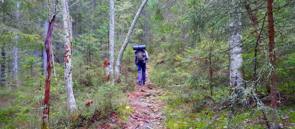 Σουηδία: Άνδρας εντόπισε θησαυρό από την εποχή του Χαλκού – Αποτελείτο από περίπου 50 κοσμήματα