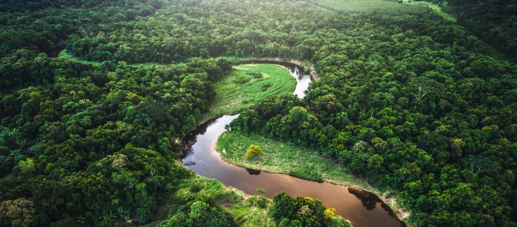 Γερμανός τουρίστας κατανάλωσε παραισθησιογόνο τσάι – Είχε χαθεί 7 μέρες στον Αμαζόνιο (βίντεο)