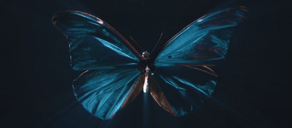 Τι είναι το φαινόμενο της πεταλούδας;