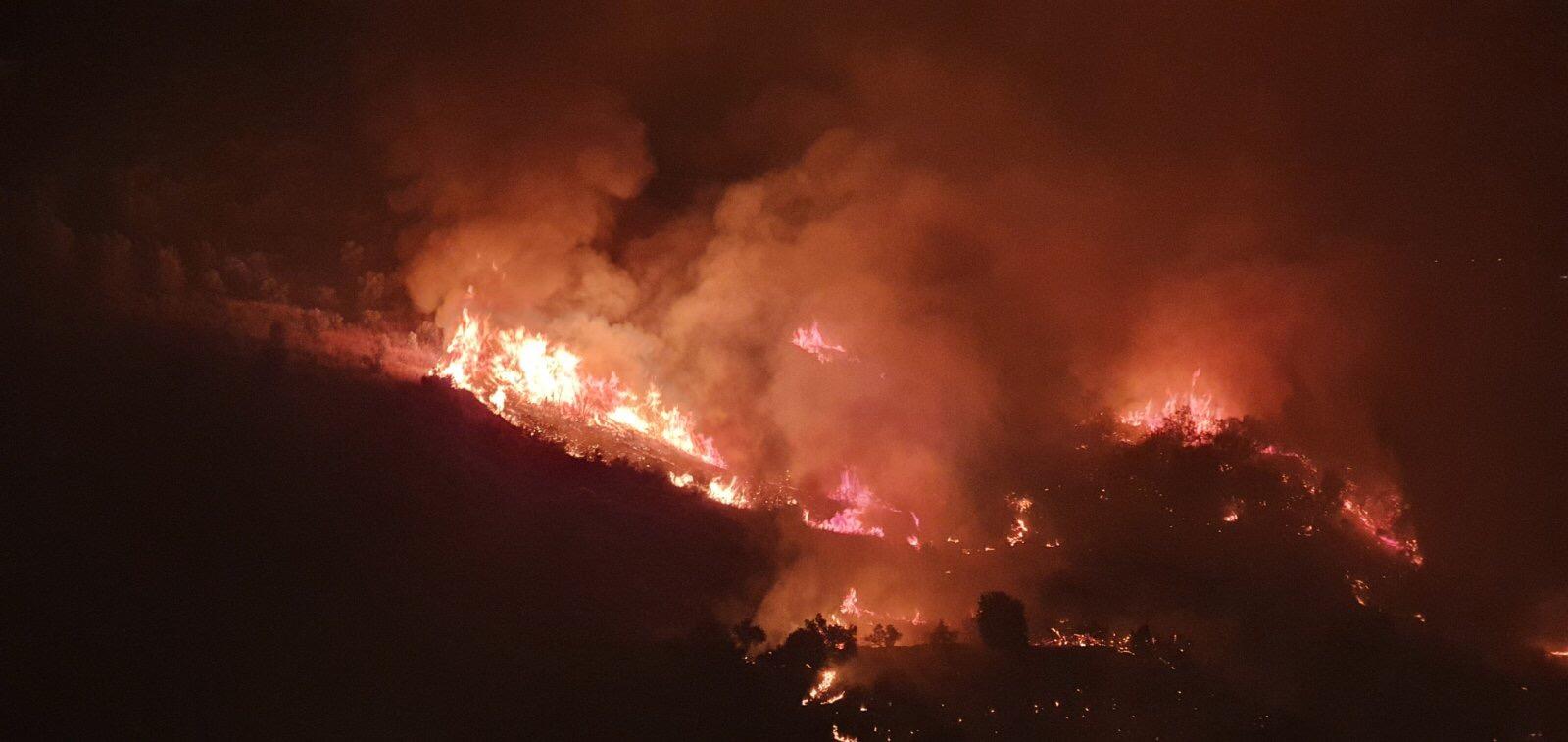Ηλεία: Μεγάλη φωτιά σε δάσος στη Σμέρνα – Ξεπερνά τα 15 στρέμματα (βίντεο)