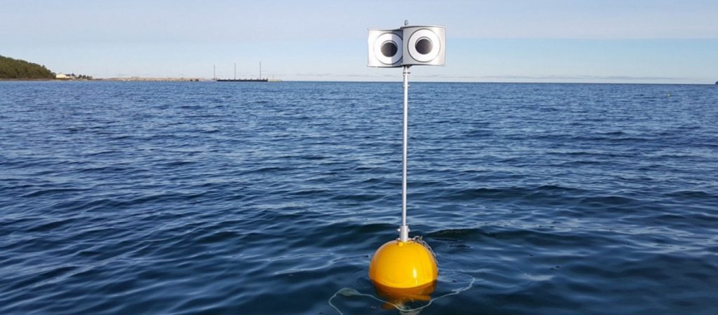 Εσθονία: Δημιούργησαν το πρώτο πλωτό σκιάχτρο – Στόχος να μην πιάνονται τα θαλασσοπούλια σε δίχτυα