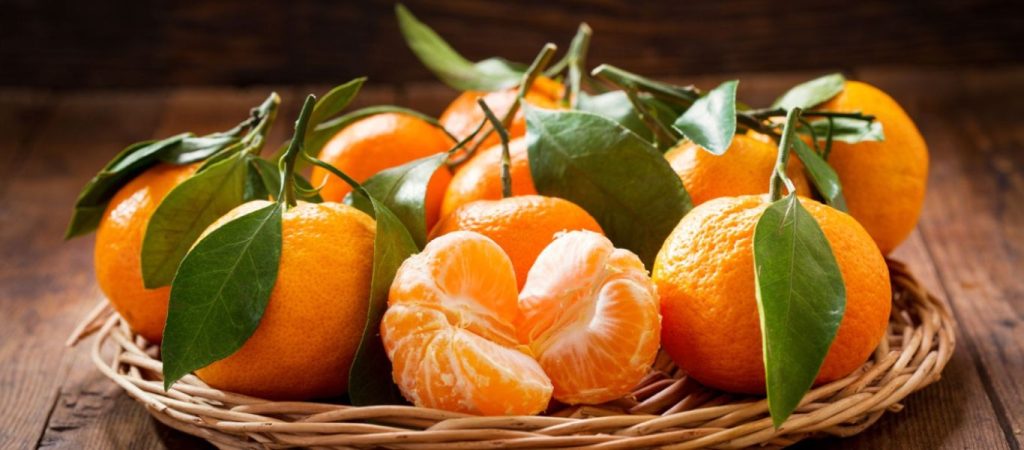 Ιστορικό ρεκόρ σημείωσαν οι εξαγωγές αγγουριών και μανταρινιών