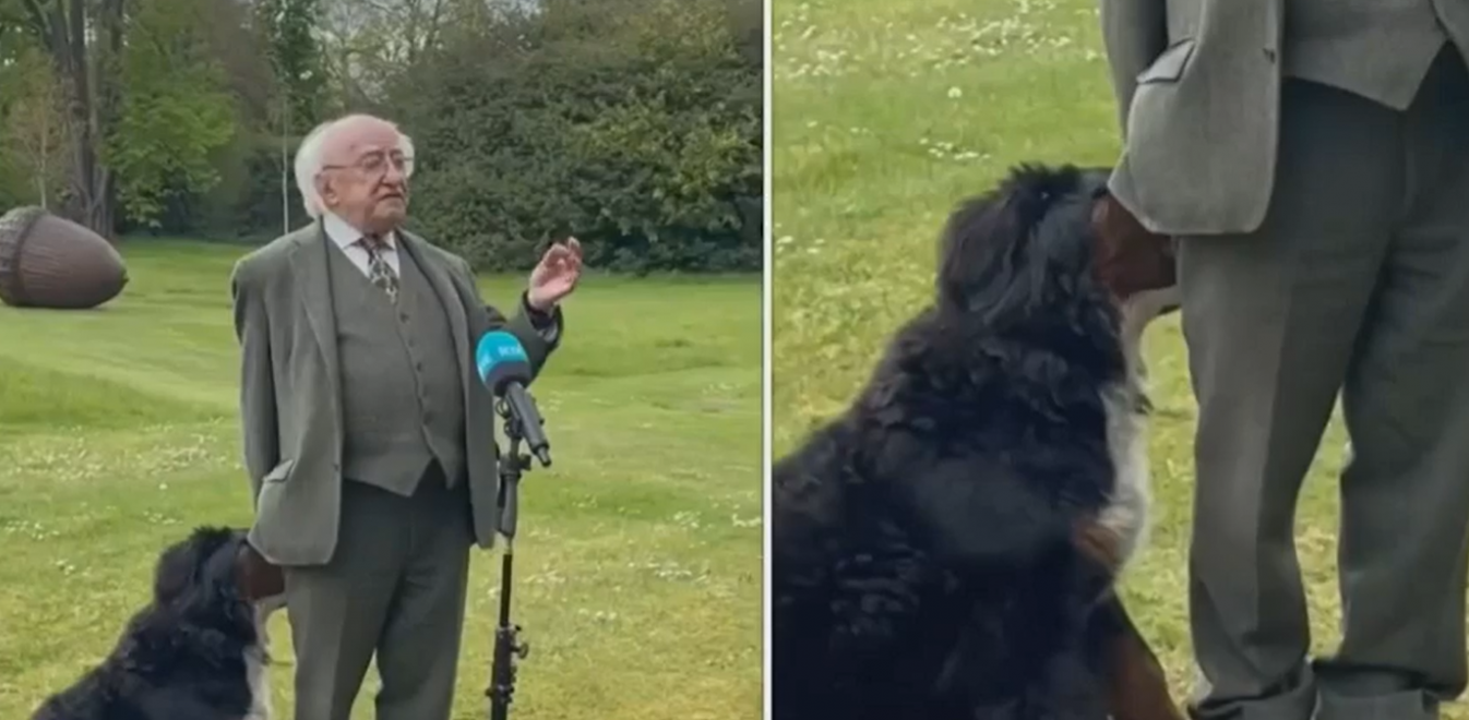 Ιρλανδία: Ο σκύλος του προέδρου που «έκλεψε» την παράσταση ζητώντας χάδια (βίντεο)
