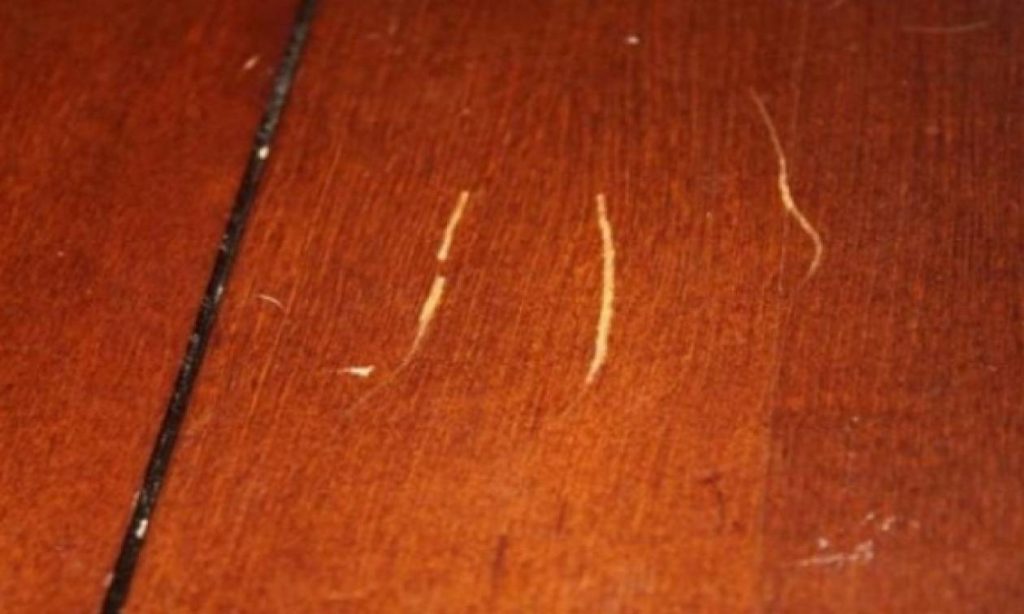 Γρατζουνιές στα ξύλινα έπιπλα: Ο απίστευτος τρόπος για να τις εξαφανίσετε