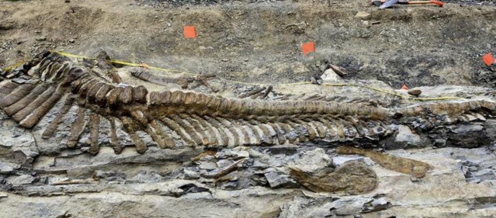 Μεξικό: Ομάδα παλαιοντολόγων αναγνώρισε νέο είδος δεινόσαυρων – Ανακτήθηκε το 80% του κρανίου του (φώτο)