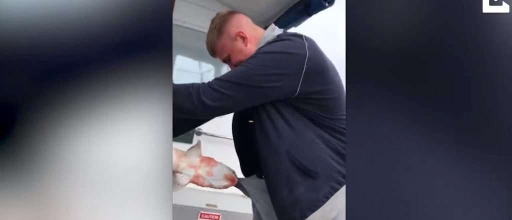 Ψαράς δέχθηκε επίθεση από ατρόμητο σκυλόψαρο στην… ευαίσθητη περιοχή του (βίντεο)