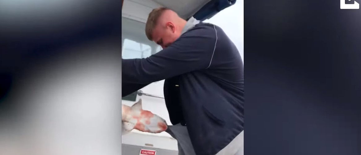 Ψαράς δέχθηκε επίθεση από ατρόμητο σκυλόψαρο στην… ευαίσθητη περιοχή του (βίντεο)