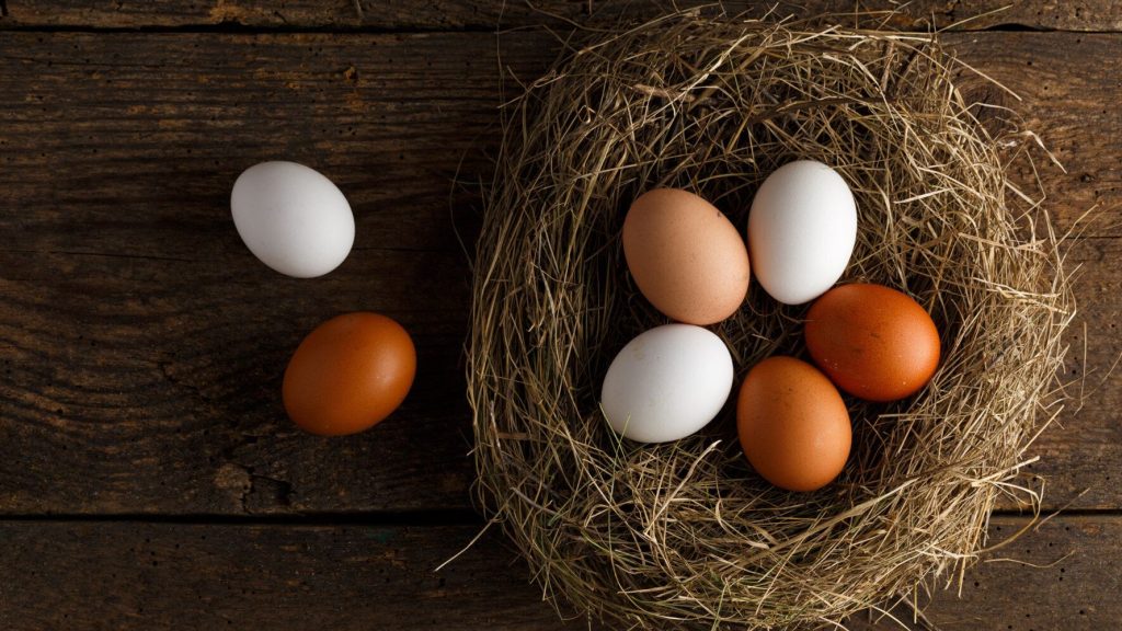 Αυτή είναι η διαφορά ανάμεσα στα λευκά και τα καφέ αυγά