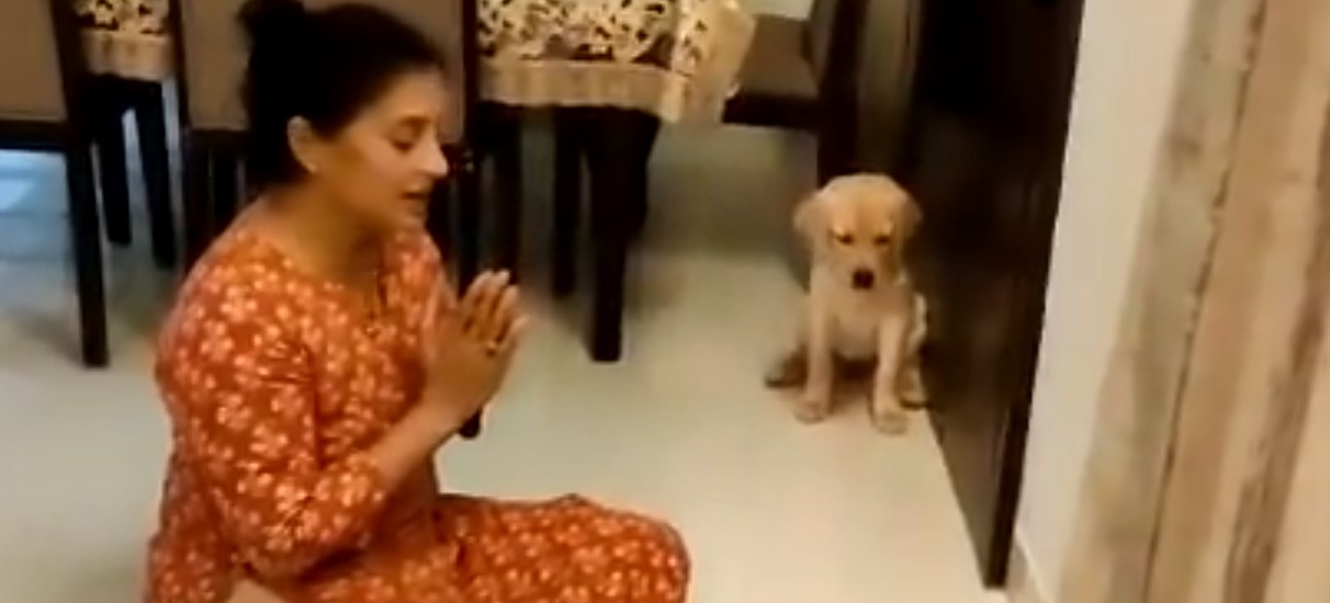 Ινδία: Γυναίκα έμαθε στα σκυλάκια της να… προσεύχονται πριν το φαγητό (βίντεο)