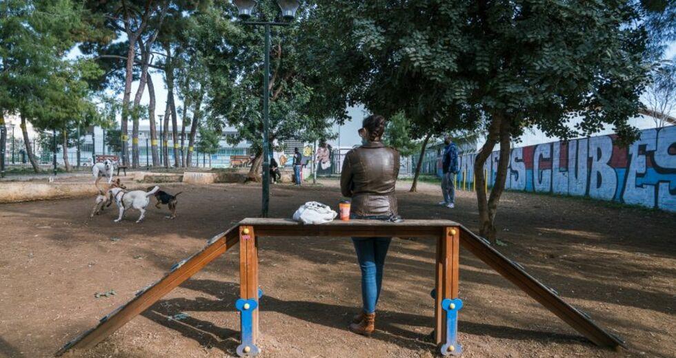 Νέα Σμύρνη: Kάτοικοι προσφεύγουν στο ΣτΕ για το κλείσιμο πάρκου σκύλων