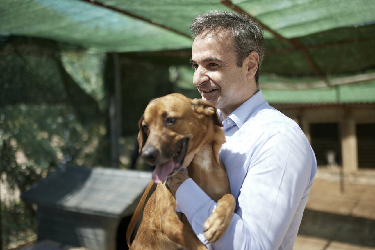 «Λουκέτο» στο καταφύγιο αδέσποτων ζώων από το οποίο ο Κ.Μητσοτάκης υιοθέτησε τον Peanut – Ήταν παράνομο