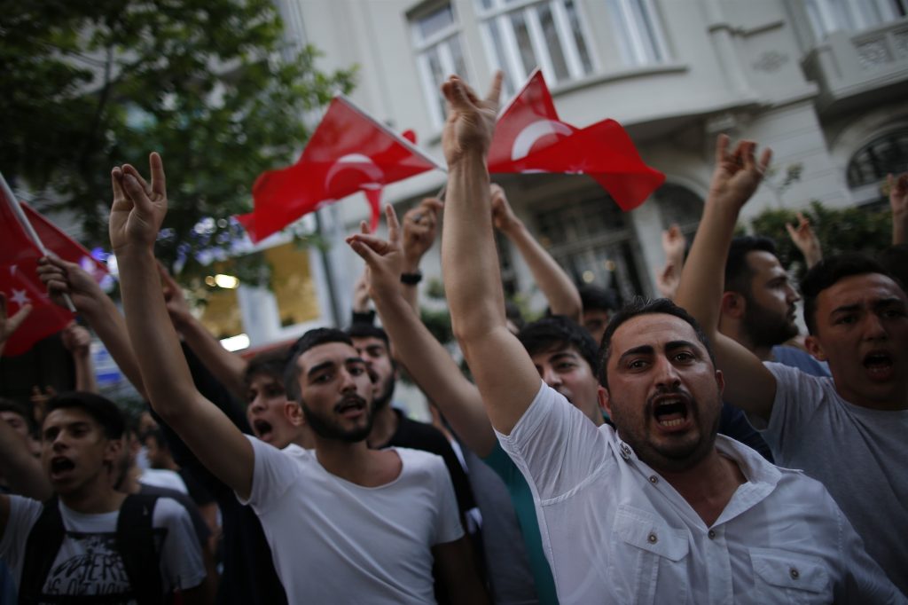 Ευρωκοινοβούλιο: Ζητά την κήρυξη των Γκρίζων Λύκων ως τρομοκρατική οργάνωση