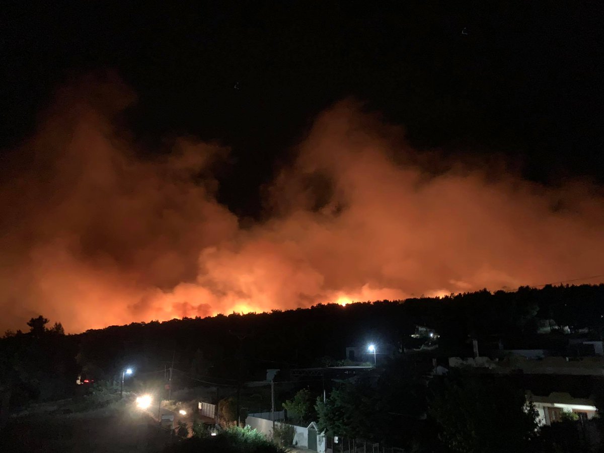 Πυρκαγιά κατακαίει το δάσους του Σχίνου Κορινθίας – Πάει προς Αλεποχώρι – Απροετοίμαστος ο κρατικός μηχανισμός