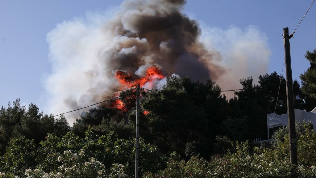 Ποια είναι Γεράνεια Όρη που παραδόθηκαν στην φωτιά; – Σοκάρουν οι εικόνες της καταστροφής σε δάσος Natura (βίντεο)