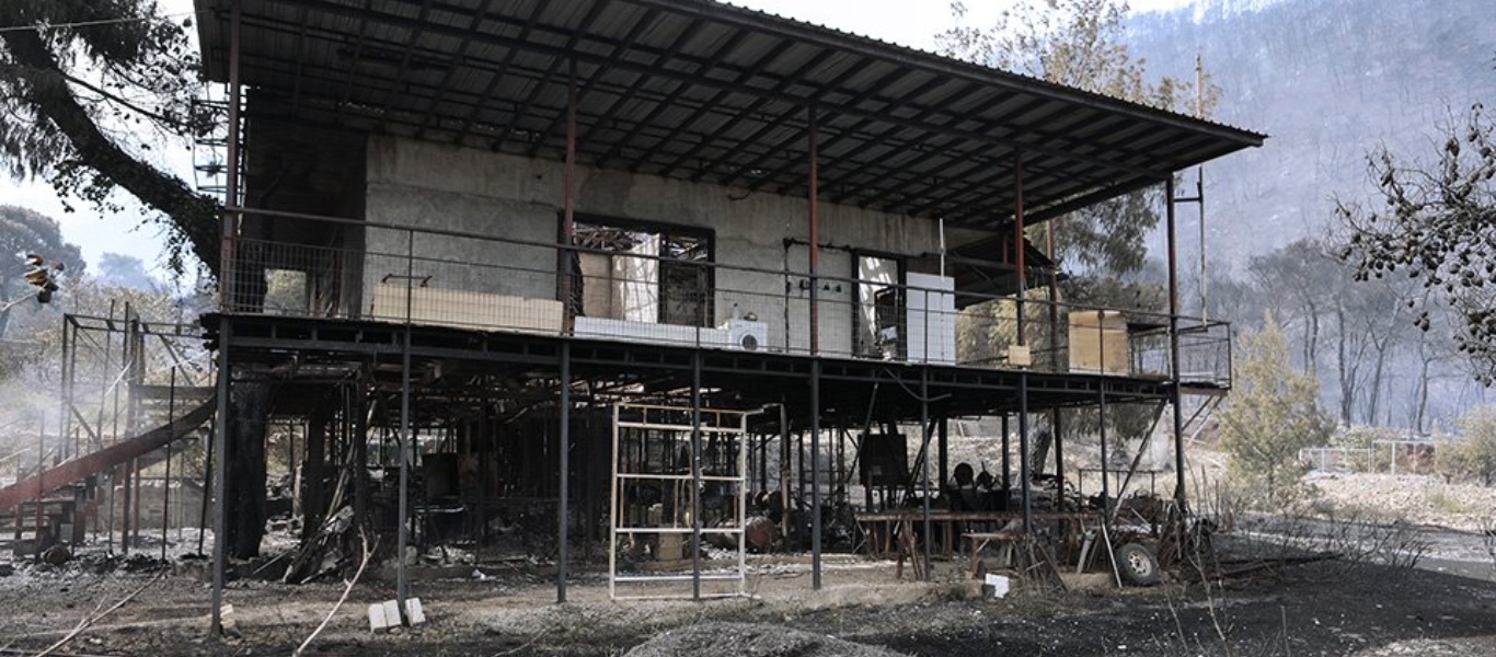 Αποκαρδιωτικές οι εικόνες από το πέρασμα της πυρκαγιάς στην Κορινθία – Στάχτη 40.000 στρέμματα δάσους (φώτο)