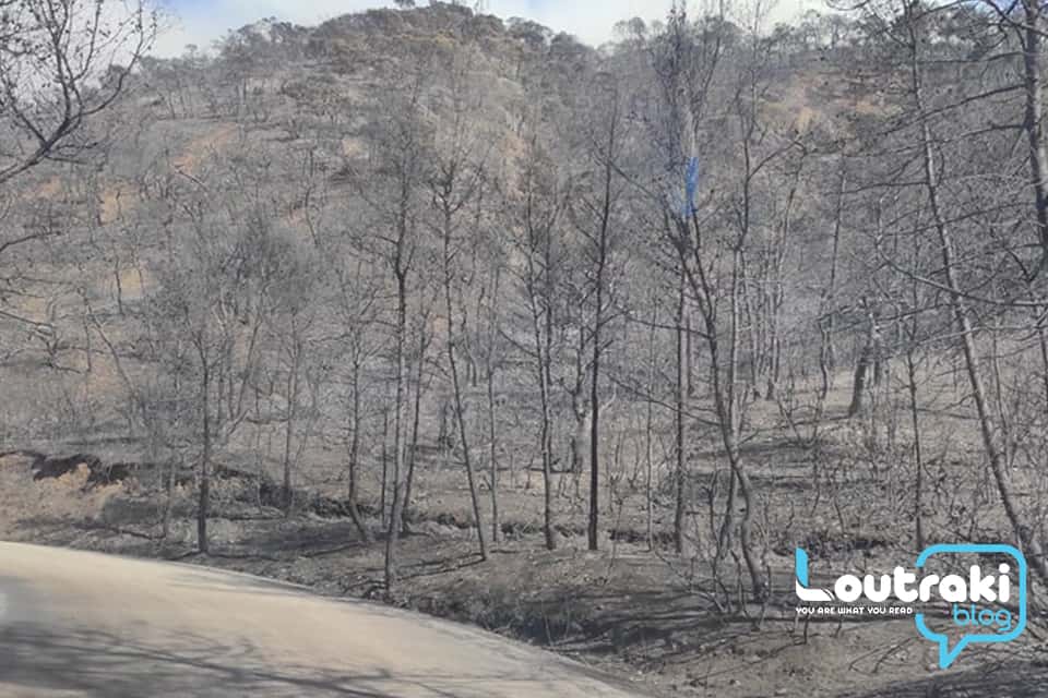 Αναζωπύρωση της φωτιάς στα Γεράνεια Όρη – Εντολή εκκένωσης του οικισμού Παπαγιαννέικα & Καλκάνι