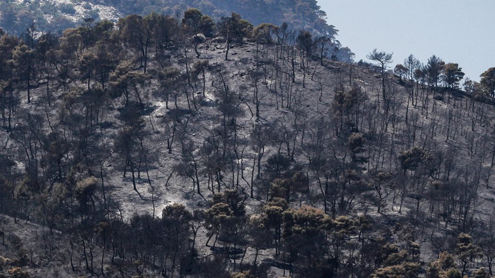 Συγκλονιστικές εικόνες σε βίντεο από drone μετά την καταστροφή σε Σχίνο και Γεράνεια Όρη
