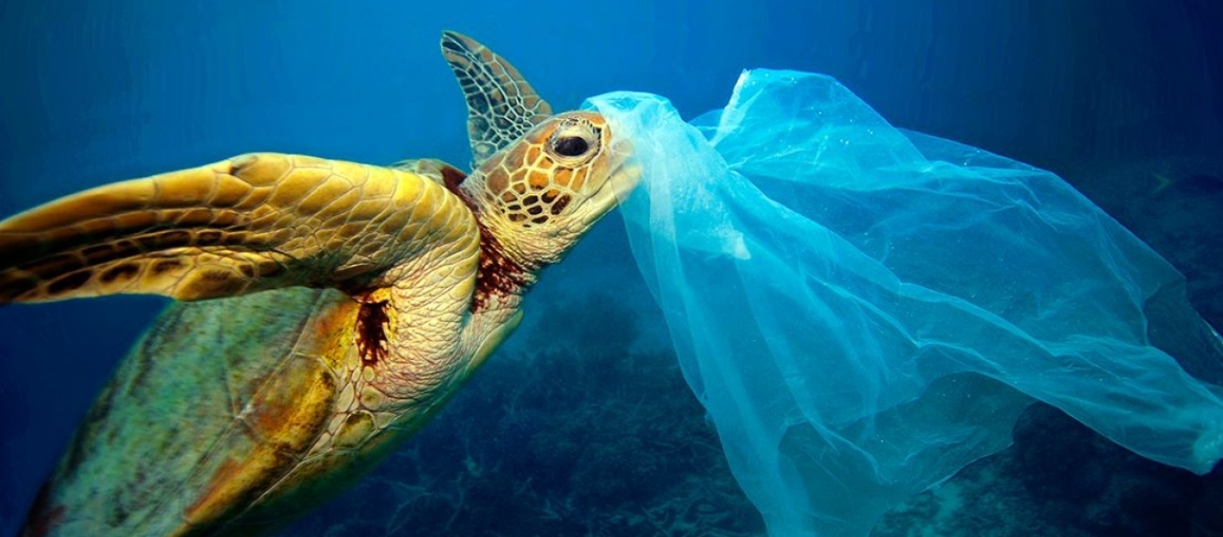 Επιχείρηση καθαρισμού του βυθού στην Κ.Μακεδονία – Περισσότερα από 400 πλαστικά βαρέλια