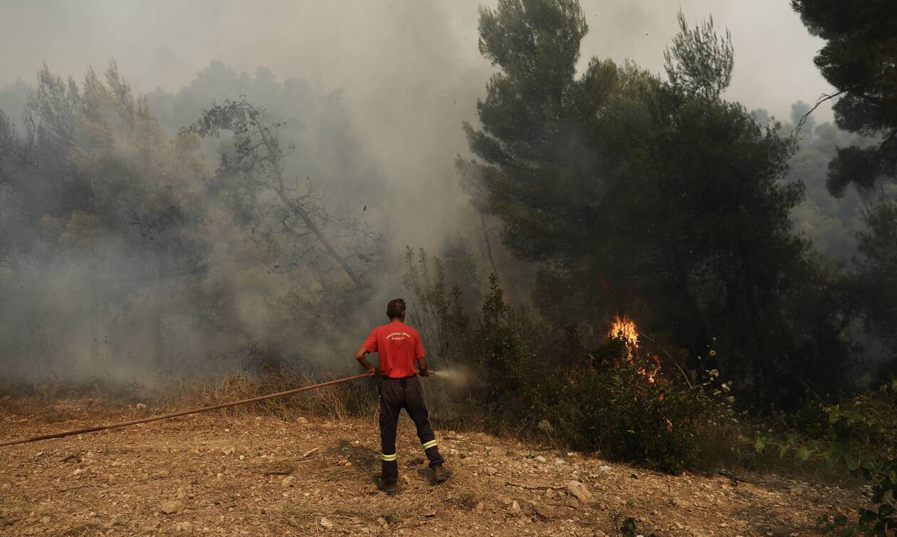 Υπό μερικό έλεγχο η μεγάλη φωτιά στην Κερατέα: Είχε δοθεί εντολή για εκκένωση της περιοχής (upd)