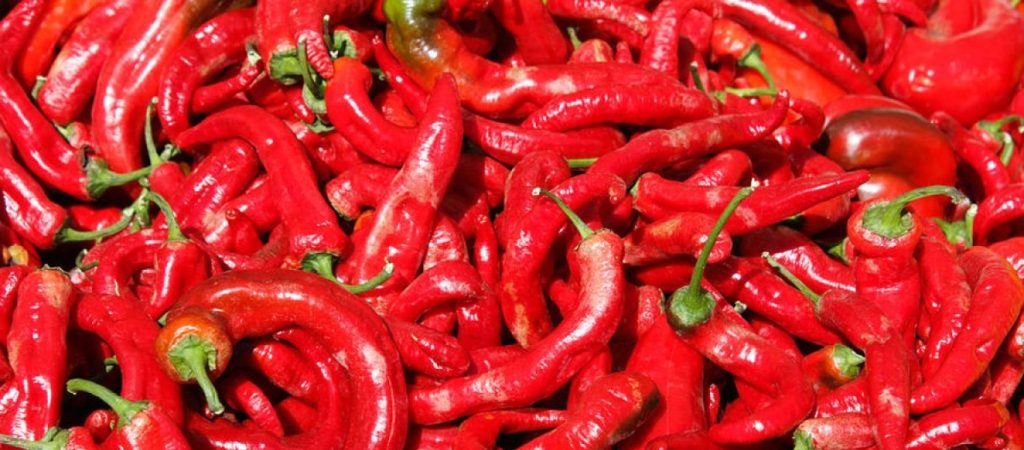 Αυτοί είναι οι λόγοι που οι καυτερές πιπεριές χαρακτηρίζονται ως οι… βασίλισσες των φαρμακευτικών βοτάνων