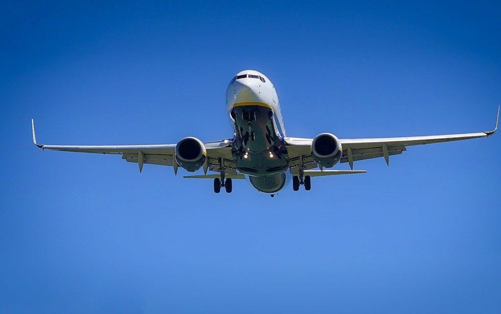 Αεροπλάνο προχώρησε σε αναγκαστική προσγείωση λόγω… νυχτερίδας (βίντεο)