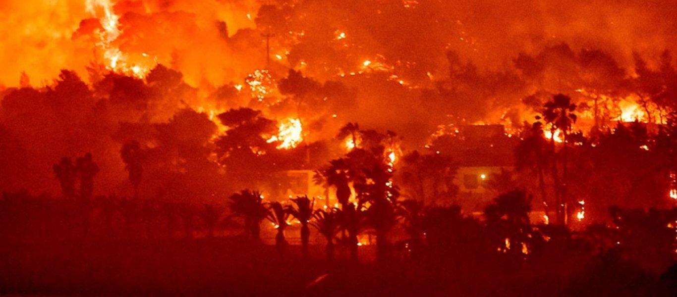 Φωτιά στα Γεράνεια Όρη: «Χιλιάδες ζώα κυκλοφορούν γδαρμένα, ματωμένα και με εγκαύματα» (φώτο)