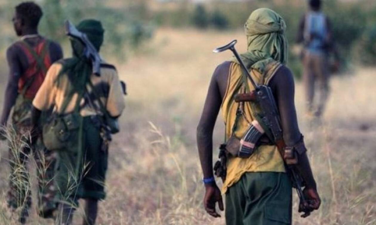 Νιγηρία: 14 φοιτητές απελευθερώθηκαν 40 ημέρες μετά την απαγωγή τους από συμμορίες