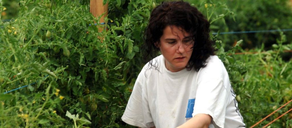 «Πάει περίπατο» το «επιτελικό κράτος» – Μειώνουν επιδόματα στις αγρότισσες για «λογιστικές διαφορές»!