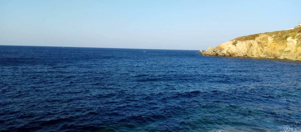 Το ζώο που έχει σώσει χιλιάδες ανθρώπους – Πως το αποκαλούσαν οι αρχαίοι Έλληνες;