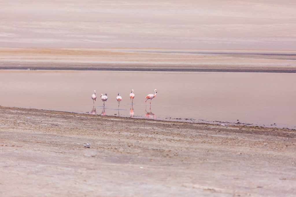 Αυτό το ήξερες; – Ποιο είναι το αρχαιότερο χρώμα στον κόσμο;