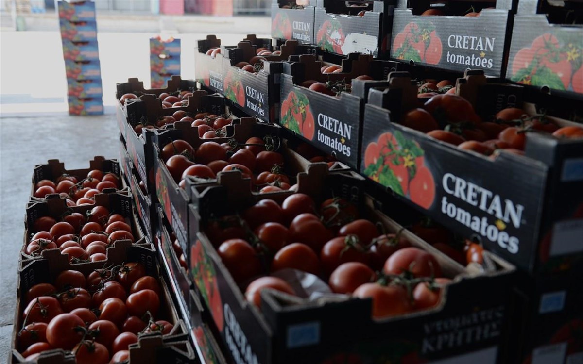 Δείτε τι θα προσφέρει η νέα ψηφιακή πλατφόρμα από τον ΟΚΑΑ «e-Λαχαναγορά»