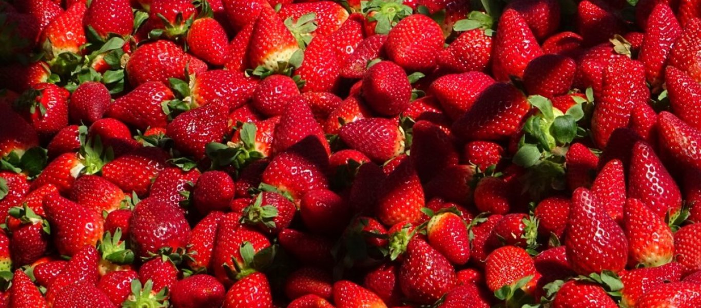 Αυτά είναι τα οφέλη που έχουν οι φράουλες – Κίνδυνοι και προφυλάξεις