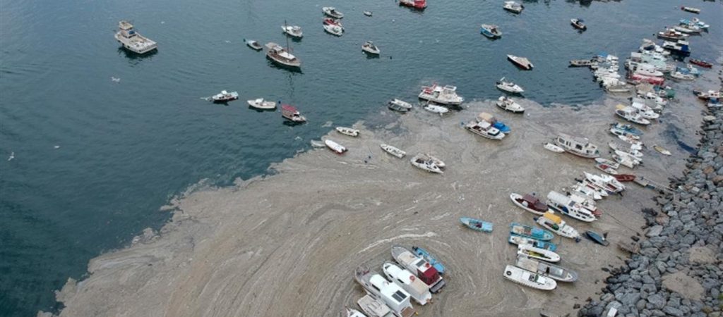 Τουρκία: Συλλέγουν τη βλέννα από την θάλασσα του Μαρμαρά – Ο τρόπος αξιοποίησής της