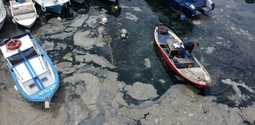 «Θαλάσσια βλέννα» στον Μαρμαρά – Γ.Τσιρτσής: Δεν «απειλεί» το Αιγαίο