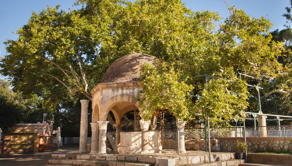 Ο πλάτανος του Ιπποκράτη: Πού βρίσκεται και όσα δεν ξέρεις γι’ αυτόν