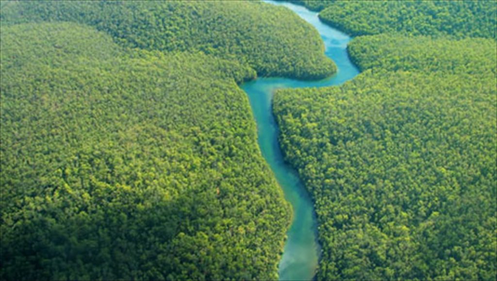 Γιατί τα ποτάμια δεν είναι σε ευθεία γραμμή; (βίντεο)