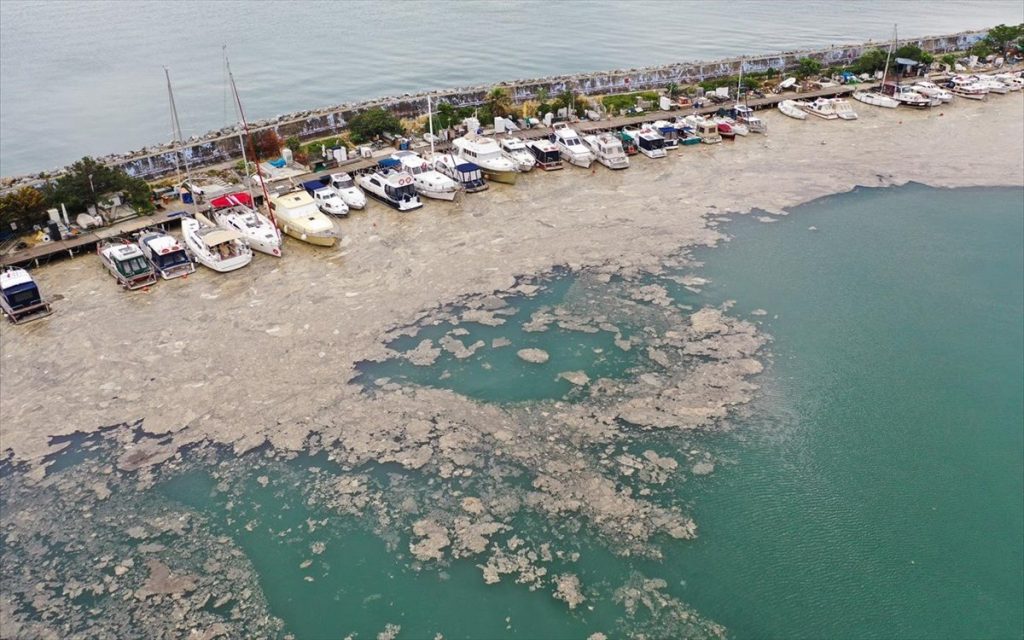 Τουρκικά ΜΜΕ: Μειώνεται η απειλή από τη βλέννα στις ακτές της Θάλασσας του Μαρμαρά