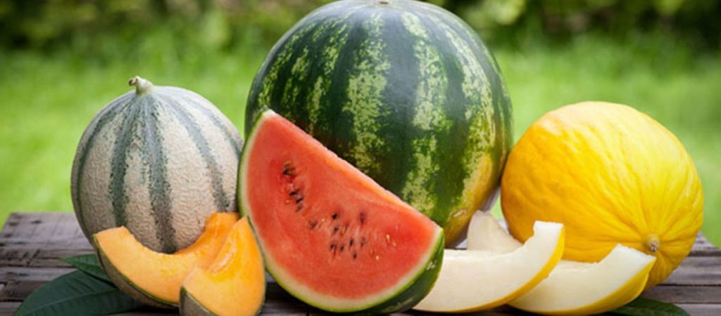 Πεπόνι vs καρπούζι: Η μεγάλη μάχη του καλοκαιριού