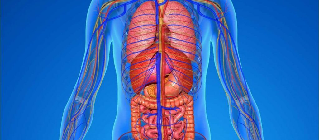 Θα σας εκπλήξουν: 10+5 «κόλπα» του σώματος που σίγουρα δεν γνωρίζατε