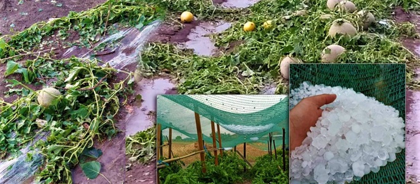 Βιβλική καταστροφή σε αγροτικές καλλιέργειες σε Θεσσαλία και Μακεδονία από χαλαζόπτωση