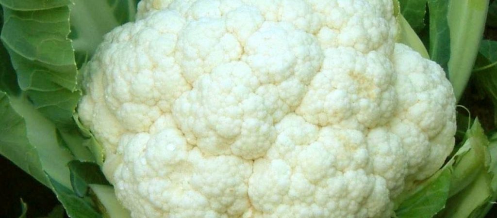 Αυτές είναι οι 4 τροφές που κάνουν το σώμα μας να μυρίζει άσχημα