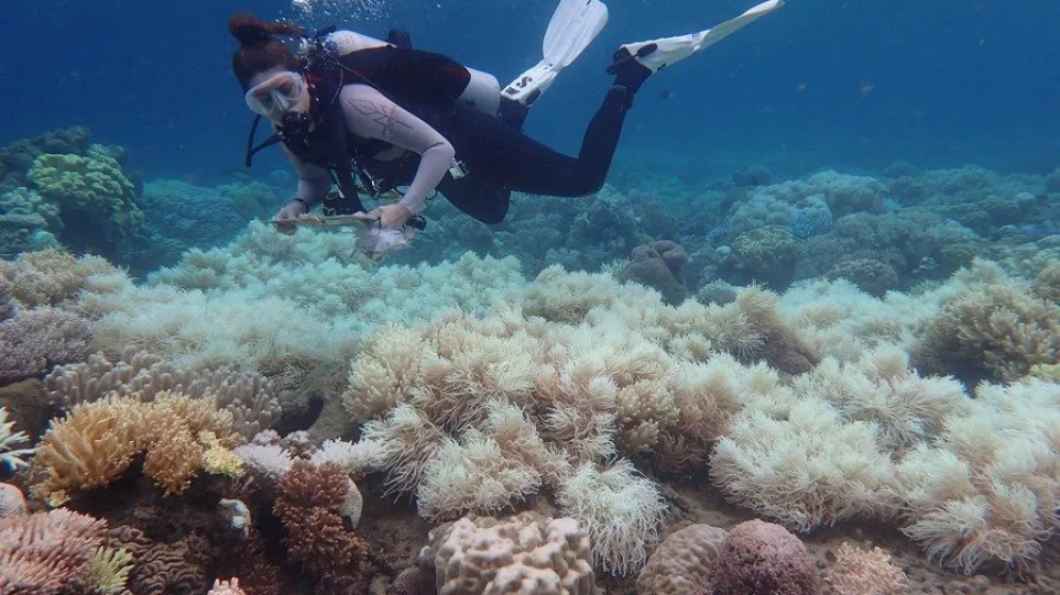 Ερίζουν UNESCO και Αυστραλία για τον Μεγάλο Κοραλλιογενή Ύφαλο – Αν θα μπει στη λίστα της Παγκόσμιας Κληρονομιάς