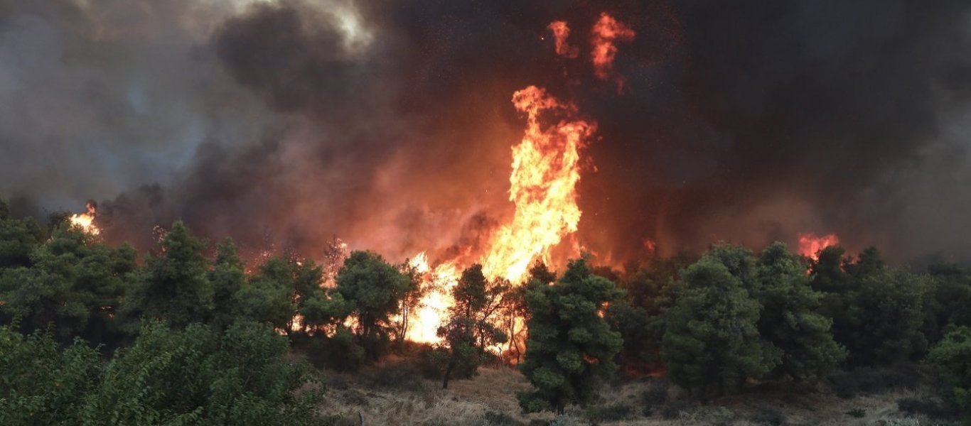 Φωτιά σε ξερά χόρτα στην περιοχή Πετρωτά Ροδόπης