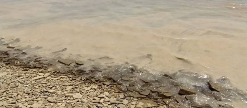 Λήμνος: Κλιμάκιο επιθεωρητών περιβάλλοντος για τη θαλάσσια βλέννα