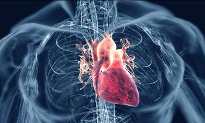 Πως μπορείτε να αναγνωρίσετε μια “σιωπηλή” καρδιακή προσβολή αν σας συμβεί;