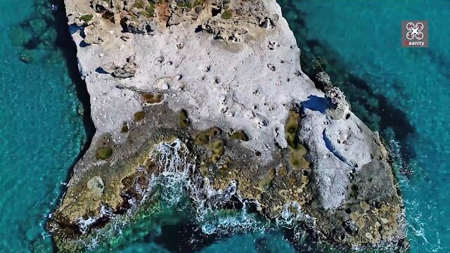 Αυτό είναι το μοναδικό ορυκτό φοινικόδασος στην Ευρώπη – Βρίσκεται στην Ελλάδα (βίντεο)