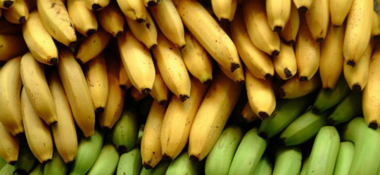 Το ρόφημα με μπανάνα που κάνει καλό στον εγκέφαλο σας